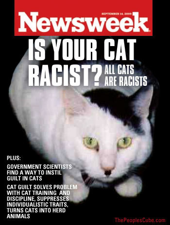 racist-cat.jpg